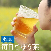 送料無料 鹿児島県産 毎日ごぼう茶（水出し）水出しごぼう茶 九州産 国産 ごぼう イヌリン 食物繊維 ティーバッグ ティーパック