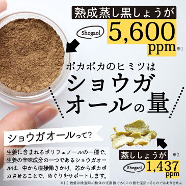 生姜パウダー 黒しょうが 黒生姜 国産 在庫処分 1000円 ポッキリ むくみ 送料無料 冷え性 冷え性改善 免疫 生姜湯 生姜紅茶 選べる しょうがパウダー 温活 ウルトラ蒸し生姜よりスゴイ熟成蒸し黒生姜パウダー 鹿児島県産 乾燥 食品　乾燥野菜　野菜パウダー 　酢生姜