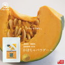 【国産100%使用】無添加かぼちゃパウダー(要加熱調理)鹿児島産 粉野菜 離乳食 パン ホットケーキ プロパ 蒸しパン 野菜摂取 野菜パウダー 無添加 無着色 ...