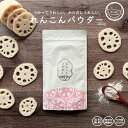 薩摩の恵 れんこんパウダー 100g 国