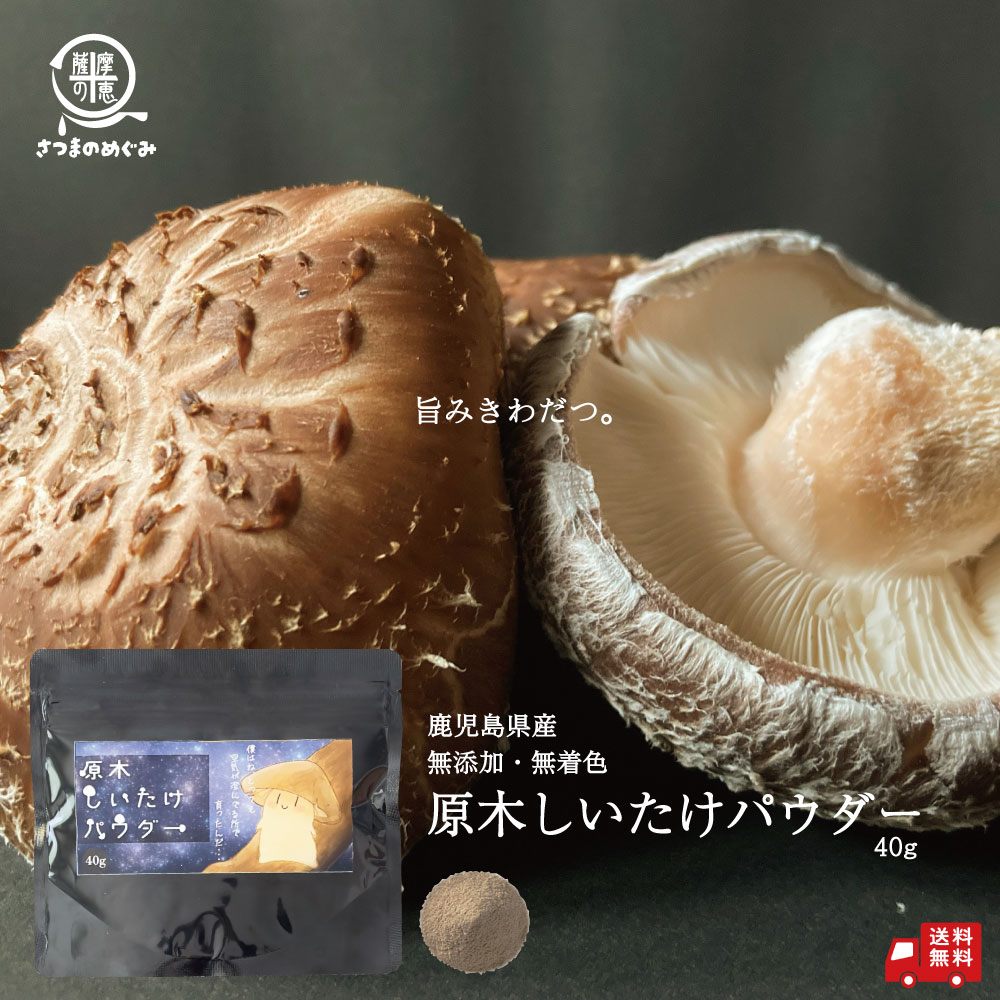 20%OFF\新発売キャンペーン価格/ 原木しいたけパウダー 40g (要加熱) 有機しいたけ 国産 鹿児島産 プロパ しいたけ 粉末 だし しいたけ粉末 椎茸粉末 しいたけ粉 椎茸粉 無添加 鹿児島 味噌汁 椎茸粉末だし 国産椎茸100% チャック袋 旨み成分 食物繊維