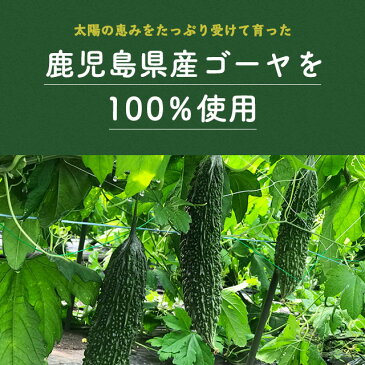 ゴーヤスライス 10g 九州産 乾燥野菜 ゴーヤ フリーズドライ 非常食 保存食 防災食 長期保存 干し野菜 乾物 カット野菜 スープ みそ汁 味噌汁 仕送り カップ麺 インスタント 焼きそば 非常用 防災 備蓄 ポイント消化 グルメ 食品 お取り寄せ 在庫処分 フード おすすめ お試し