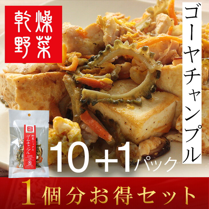 1個分お得セット（10+1パック）　ゴーヤチャンプル　乾燥野菜　おかず・お惣菜などに　九州産野...