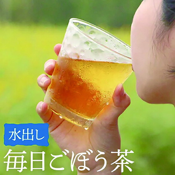 送料無料 鹿児島県産 毎日ごぼう茶（水出し）水出しごぼう茶 九州産 国産 ごぼう イヌリン 食物繊維 ティーバッグ ティーパック