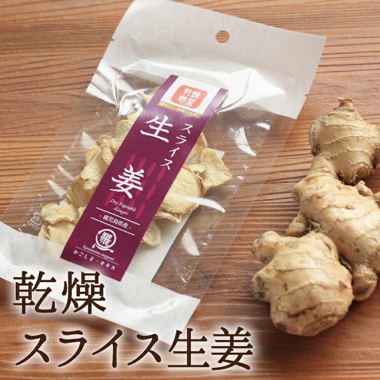 薩摩の恵 乾燥野菜 生姜スライス 10g 鹿児島県産 非常食 保存食 防災食 長期保存 干し野菜 乾物 カット..