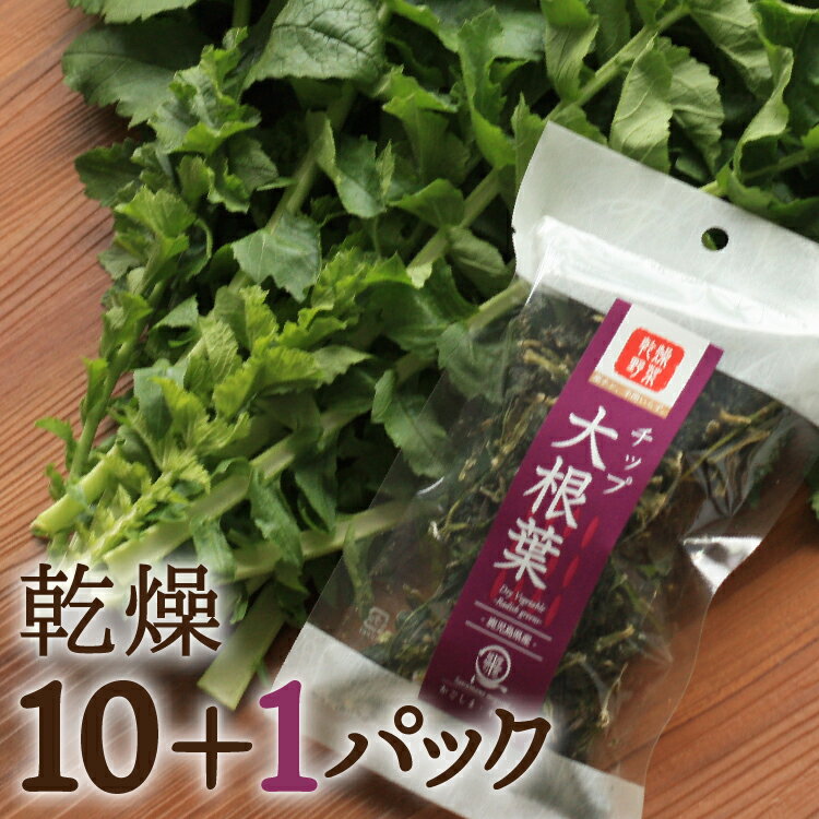 ＼まとめ買いがお得／ 薩摩の恵 乾燥野菜大根葉チップ 11pc 九州産 大根 非常食 保存食 防災食 長期保..