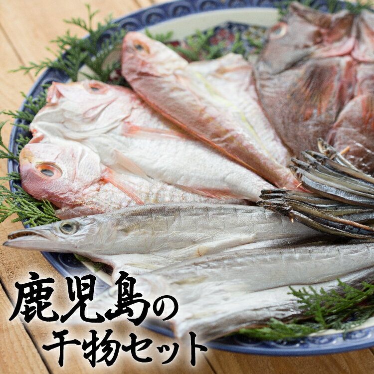 【送料無料】鹿児島県の干物セット 無添加・熟成乾燥 魚屋厳選