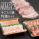 【送料無料】鹿児島黒