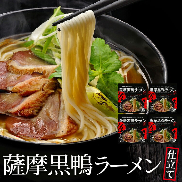 【送料無料】薩摩黒鴨ラーメン2人前×4箱