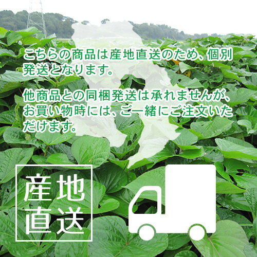 【農林水産大臣賞受賞】【送料無料 ギフト】 さつま揚げセット　鹿児島で創業95年の岡留蒲鉾本舗　【おためしセット】　10種12個入り　お取り寄せ　志布志　薩摩揚げ　ギフト　のし対応可　にどうぞ　さつま揚げギフト　さつまあげ