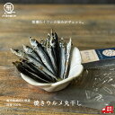 焼ウルメ丸干し 20g×2袋/20g×10袋 おつまみ 1000円ポッキリ おやつ うるめ ウルメ 国産 鹿児島県産 無添加 焼うるめ丸干し ヘルシー 旨味 旨...