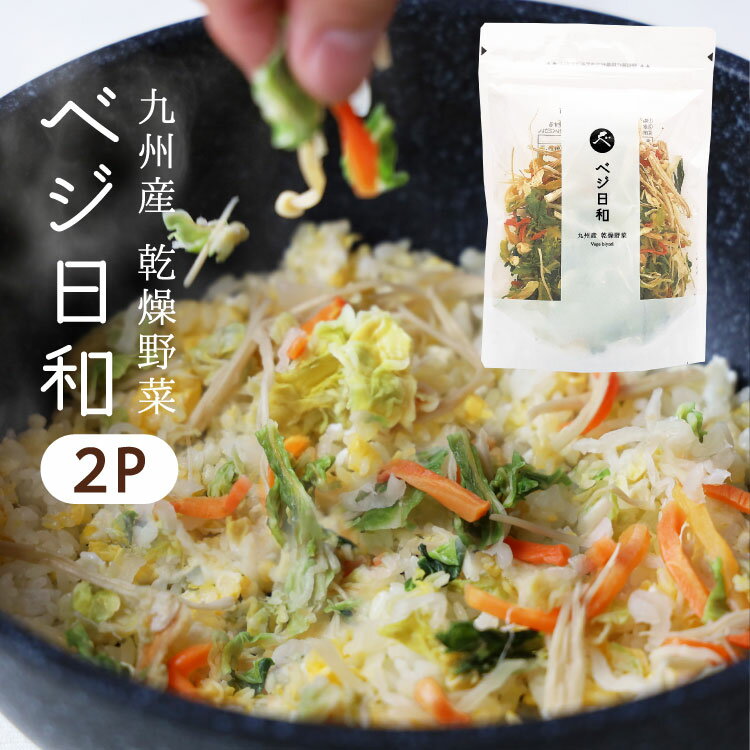 乾燥野菜 フリーズドライのような 野菜 乾物 ベジ日和 100g 乾燥野菜ミックス 保存食 非常食 防災食品 長期保存 乾物 カット野菜 送料無料 備蓄 非常用 ポッキリ 九州産 スープ みそ汁の具 ポイント消化 グルメ 時短 チャック付き 在庫処分 食品 訳あり