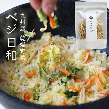 乾燥野菜 フリーズドライ 野菜 在庫処分 食品 訳あり 乾物 ベジ日和 50g 乾燥野菜ミックス 保存食 非常食 防災食品 長期保存 乾物 カット野菜 送料無料 備蓄 非常用 ポッキリ 九州産 スープ みそ汁の具 ポイント消化 グルメ 時短 チャック付き