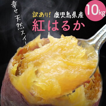 【訳あり】ネットリ系【予約】鹿児島県産　べにはるか　10kg【送料無料】ねっとり　さつまいも　自然貯蔵で追熟済の紅はるか　まるでスイーツ　訳アリ