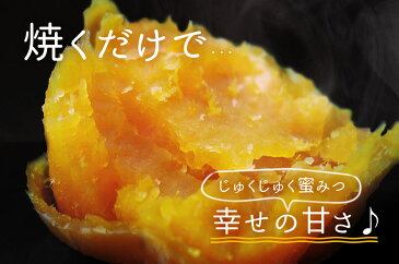 【訳あり】　安納芋　予約　鹿児島県産　10kg【送料無料】さつまいも　自然貯蔵で追熟済の安納いも　甘味としっとりとした食感が人気の定番品種