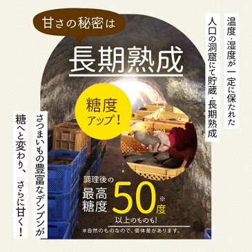 【訳あり】　安納芋　予約　鹿児島県産　10kg【送料無料】さつまいも　自然貯蔵で追熟済の安納いも　甘味としっとりとした食感が人気の定番品種