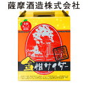 ギフト 金柑 きんかん サイダー 245ml×3本 炭酸 飲料 ご当地 鹿児島 お土産 ギフト おいしい プレゼント 中元 誕生日 御祝 御礼 歳暮