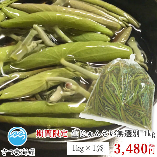 岐阜県産他　成田もやし　250g×20袋入り（箱）