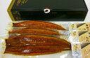 鰻 うなぎ 国産 鹿児島県産 蒲焼 特大3尾セット ギフト ...