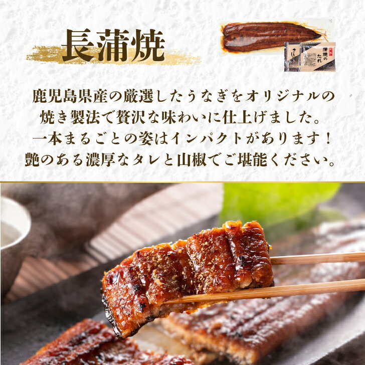 うなぎ　国産　蒲焼　5尾セット　ギフト　贈答　鰻重　鰻丼　お歳暮　母の日　父の日　お中元　敬老の日　送料無料　鹿児島県産 satsumasendaiunagi-10000015 薩摩川内鰻 サンプル画像2