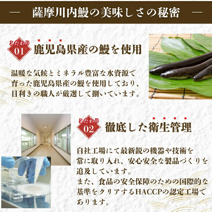 うなぎ　国産　蒲焼　5尾セット　ギフト　贈答　鰻重　鰻丼　お歳暮　母の日　父の日　お中元　敬老の日　送料無料　鹿児島県産 satsumasendaiunagi-10000015 薩摩川内鰻 サンプル画像3