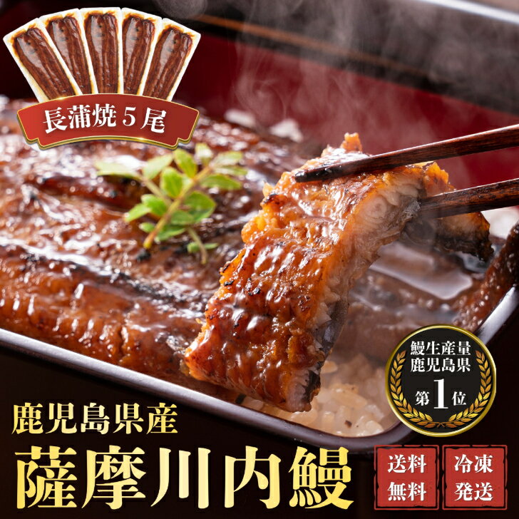 其它 - うなぎ　国産　蒲焼　5尾セット　ギフト　贈答　鰻重　鰻丼　お歳暮　母の日　父の日　お中元　敬老の日　送料無料　鹿児島県産