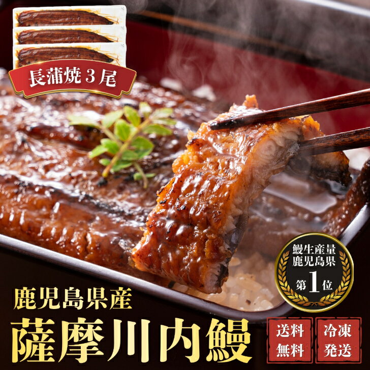 【ワンダフルデーP11倍】うなぎ　国産　蒲焼　3尾セット　ギフト　贈答　鰻重　鰻丼　お歳暮　母の日　父の日　お中元　敬老の日　送料無料　鹿児島県産