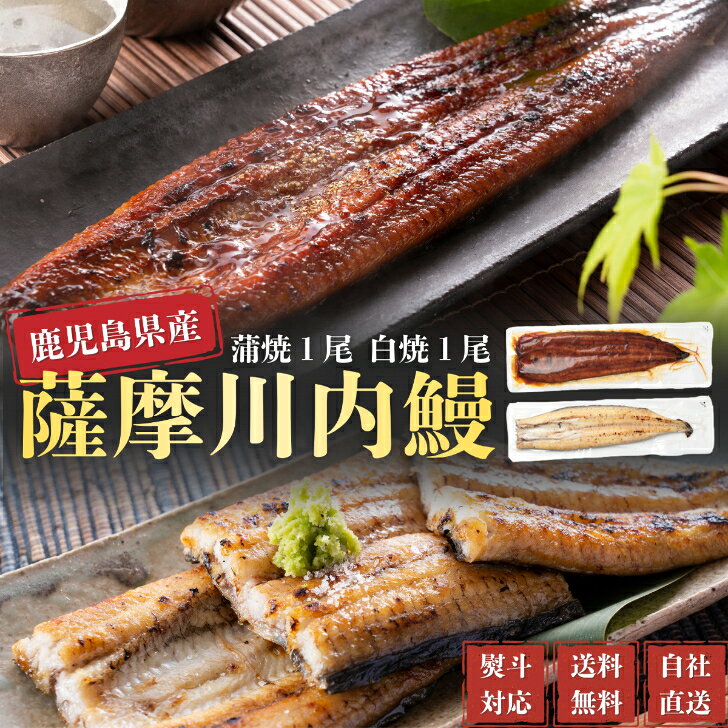 うなぎ　鹿児島県産　国産　白焼1尾・蒲焼1尾　2尾セット　ギフト　贈答　鰻重　鰻...