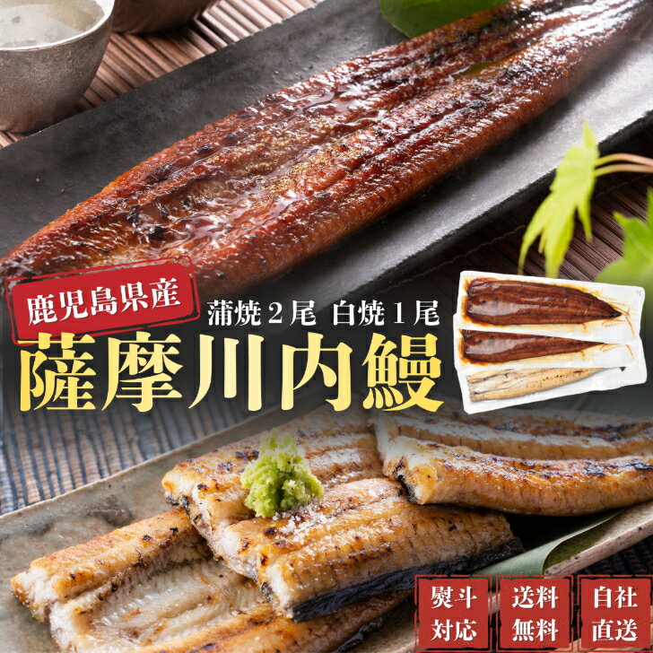うなぎ　国産　鹿児島県産　白焼1尾・蒲焼2尾　合計3尾セット　ギフト　贈答　鰻重　鰻丼　お歳暮　母の日　父の日　お中元　敬老の日　送料無料