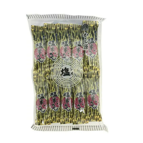 かし原 塩羊かん 塩羊羹 10本入×1袋【送料無料】※ポスト投函ですのでご到着後早めにお受け取りください。