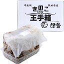椎茸栽培キット 父の日 贈り物 きのこ栽培 説明書付き 椎茸 椎茸栽培 きのこ 育てる 茸 しいたけ 菌床 菌床椎茸 栽培セット 椎茸栽培キット 室内 本格栽培...