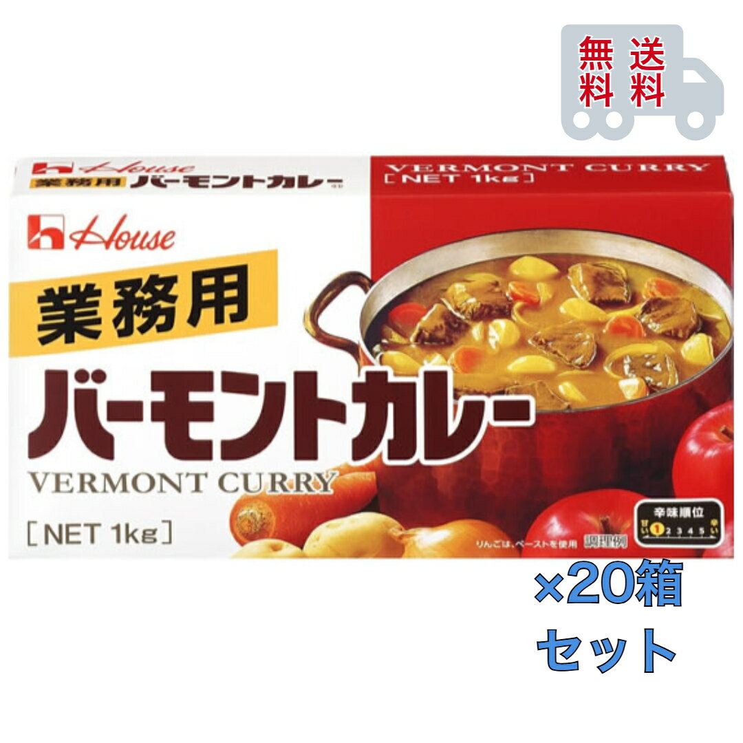GABAN(ギャバン) ハウス バーモントカレー 1kg×20箱セット　業務用