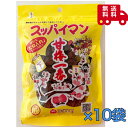 スッパイマン 甘梅一番 65g×10袋 駄菓子 熱中症対策 お土産 おやつ