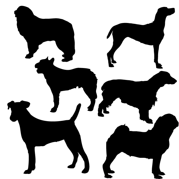 Rakuten - 【シルエットステッカー】【選べるカラー】ワンコ 大型犬 犬セット ゴールデンレトリバー 犬/犬好き/傷隠し/キズかくし/キズ隠し/防水/アクリルプレート/パーテーション/車/ガラス/窓/装飾/デコ/愛犬/スケボー/[メール便送料無料]