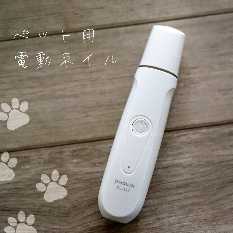 Elpa エルパ ダミーカメラドーム型