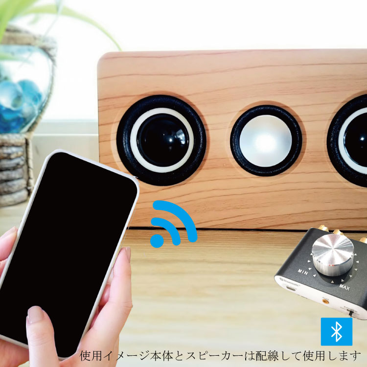 Bluetooth アンプ 電源付き ステレオ スピーカー パワーアンプ デジタルアンプ 音質 100W 大出力 超小型