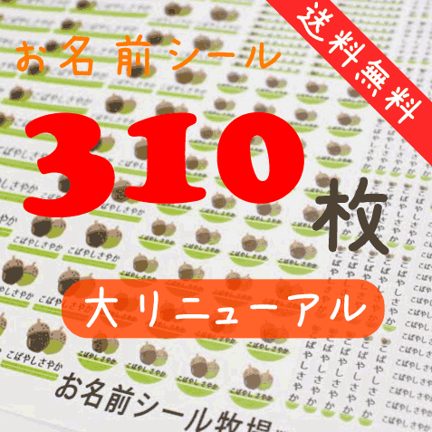 【入園準備】お名前シール【どんぐり】310枚 A4セット 入園しまシール カラー ネームシール 入学準備 入園準備 進級 進学 防水 こすってもとれない 送料無料