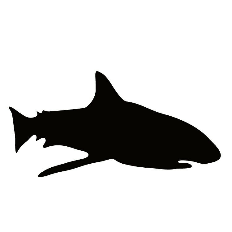 ステッカー サメ シャーク かっこいい クール/おしゃれステッカー/アクリルプレート/パーテーション/車/ガラス/窓/装飾/デコ/