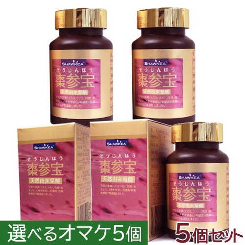 【選べるオマケ付】棗参宝 100カプセル×5個セット【付与ポイントは購入前に商品ページでご確認ください】〔徳潤〕
