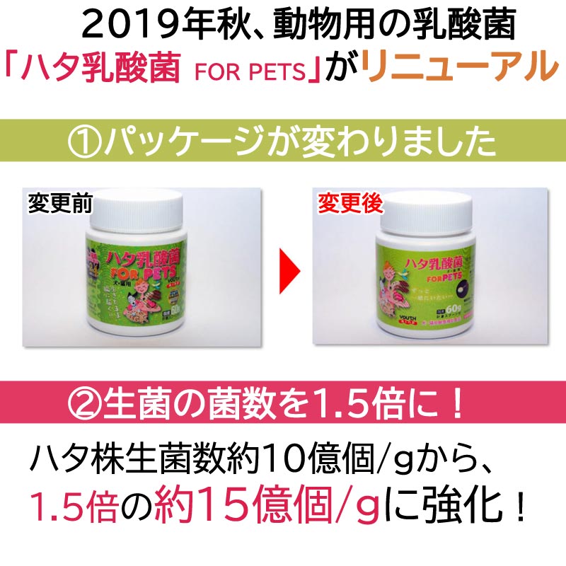 ハタ乳酸菌 FOR PETS ペット用 60g【あす楽】約2ヶ月分 計量スプーン付 | 犬 猫 動物用 腸内環境 口腔ケア 被毛向上 栄養補助 ペット サプリ はた乳酸菌 サプリメント ユースマインド ペット用品 イヌ ネコ 乳酸菌 健康食品 いぬ ねこ 健康補助食品 ハタペット 2