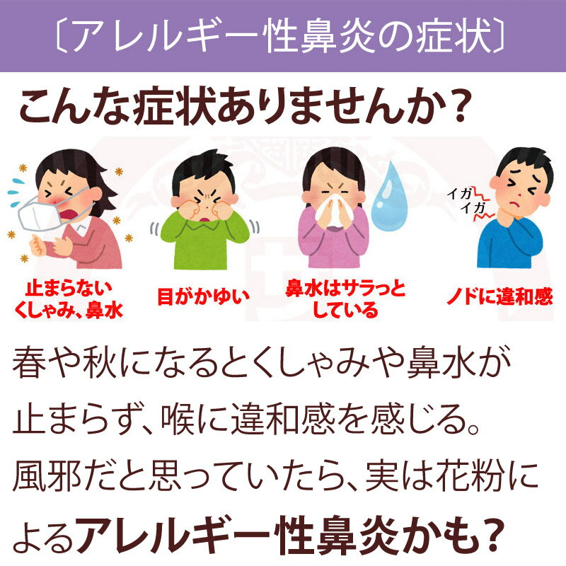 ホノビエンdeux(ホノビエンドゥ)300錠《第2類医薬品》