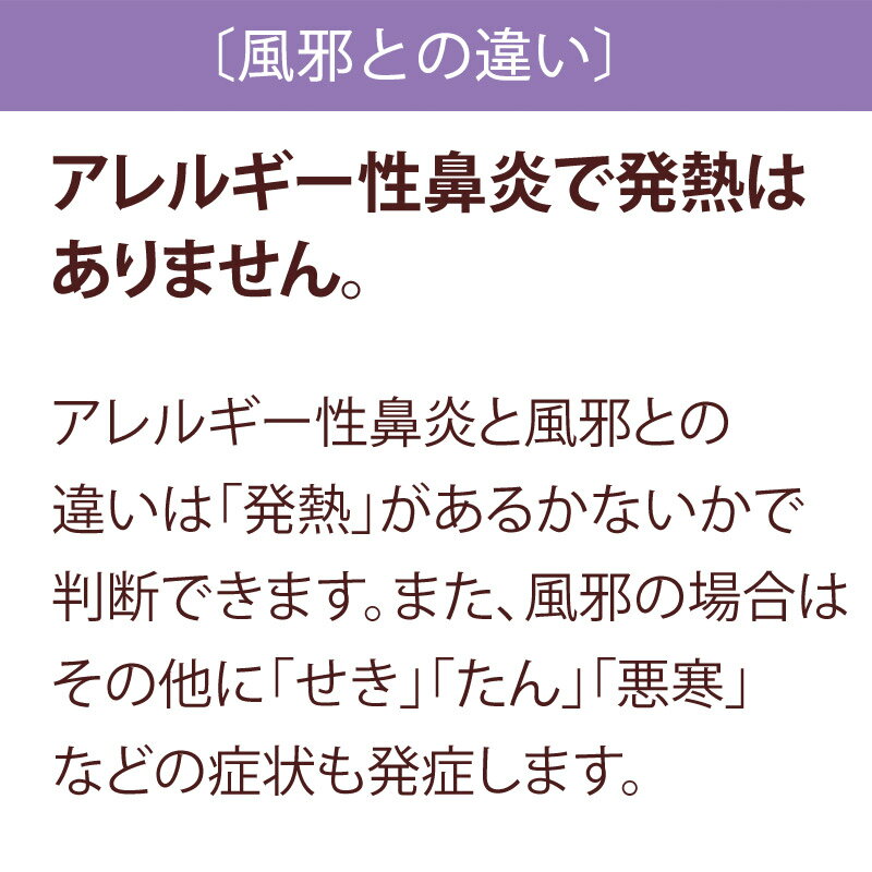 ホノビエンdeux(ホノビエンドゥ)300錠《第2類医薬品》