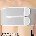 〔シグマックス〕リブバンドll L 1個 | 胸部のサポーター 固定帯