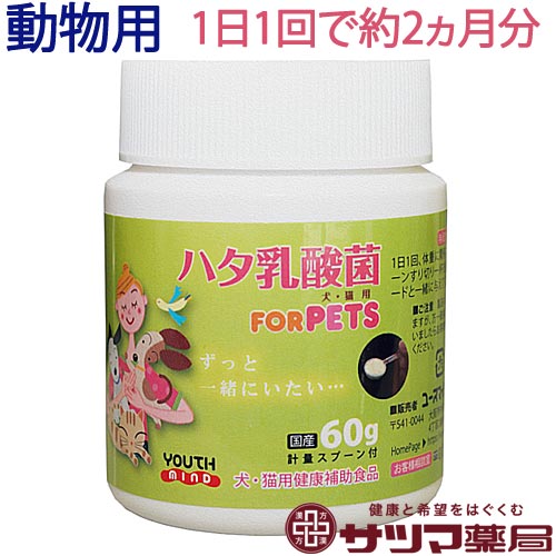 ハタ乳酸菌 FOR PETS ペット用 60g【あす楽】約2ヶ月分 計量スプーン付 | 犬 猫 動物用 腸内環境 口腔ケア 被毛向上 …