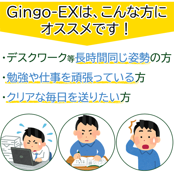 【同一住所・同一名義1点まで】Gingo-EX 20カプセル お試し【メール便可】高濃度 ...