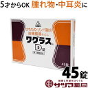 【第2類医薬品】〔ホノミ〕ワグラスD錠 45錠【メール便可】【楽天ポイント5倍】医薬品 化膿性疾患 腫物 ホノミ漢方 ワグラスD
