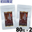 【同一住所・同一名義1点まで】安寿薩摩丸EX 80粒×2袋【メール便可】 初回限定 健康食品 あんじゅさつまがん いーえっくす 《サツマ薬局オリジナル商品》