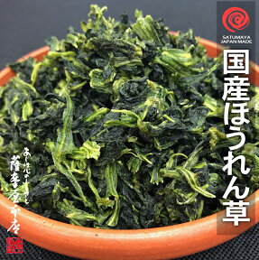 国産乾燥ほうれん草 1kg 国産乾燥野菜シリーズ エアドライ 低温熱風乾燥製法 九州産 熊本県産 みそ汁 フリーズドライ ドライベジタブル 保存食 非常食 長期保存