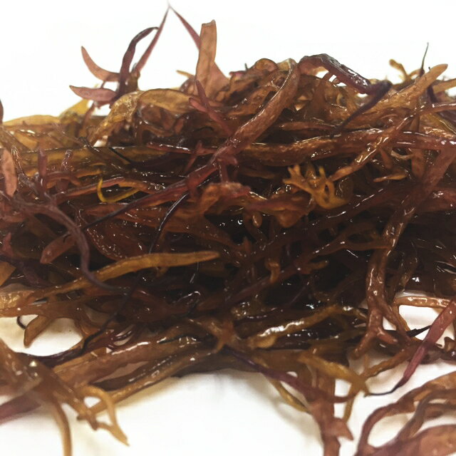 北海産産 天然ふのり 1等 100g 布海苔 函館 汐首 戸井 フノリ 味噌汁 海藻 ふのり ...