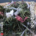 国産海藻サラダ 7種ミックス 100g 国産原料100％ 乾燥タイプ くきわかめ わかめ 昆布 寒天 とさか ふのり まふのり 岩手県 大船渡 三陸